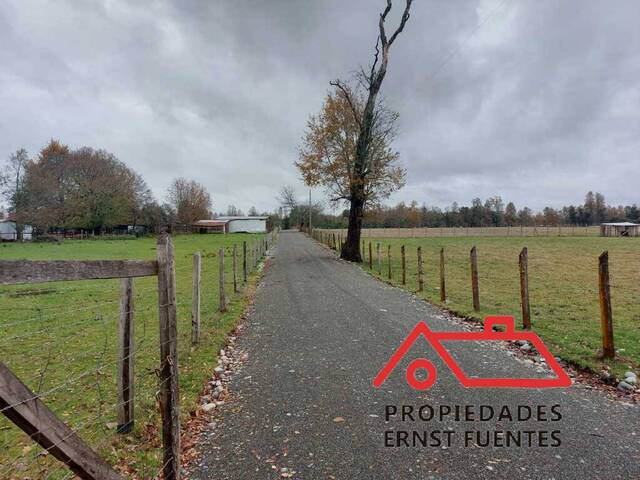 #11 - Granja  Finca para Venta en Valdivia - XIV - 1