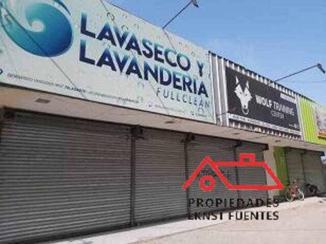 #C-14-2016 - Oficina para Arriendo en Peñaflor - XIII