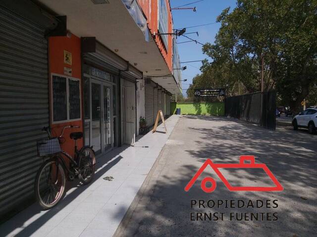 Oficina para Arriendo en Peñaflor - 4