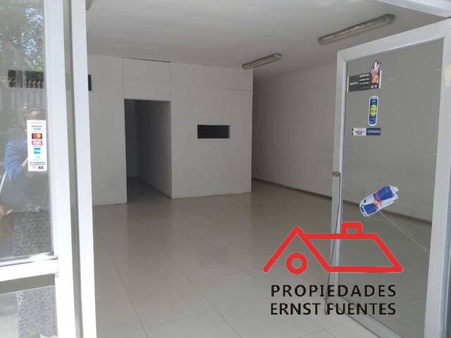 Oficina para Arriendo en Peñaflor - 5