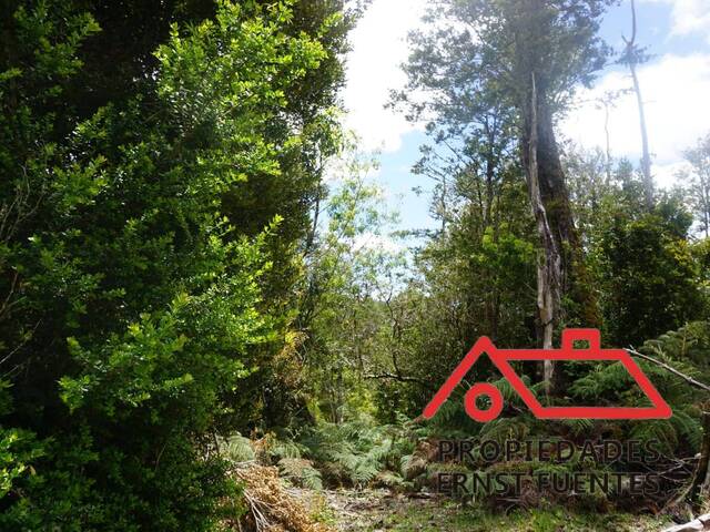 Área para Venta en Corral - 5