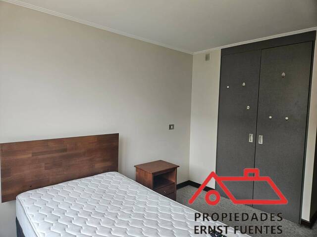 Departamento para Arriendo en Valdivia - 4