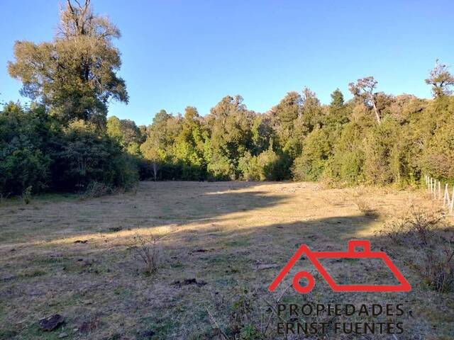 Casa para Venta en Corral - 4