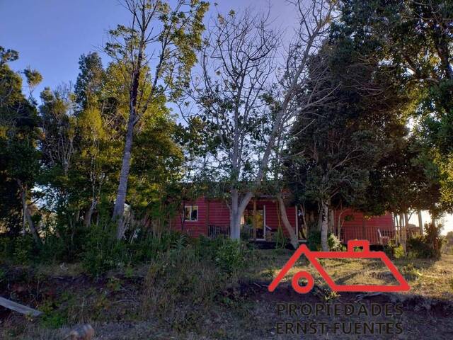 #113 - Casa para Venta en Corral - XIV