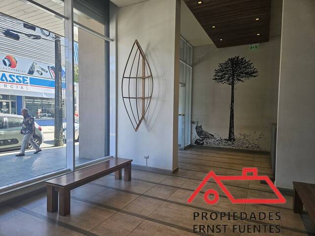 #119 - Departamento para Arriendo en Valdivia - XIV