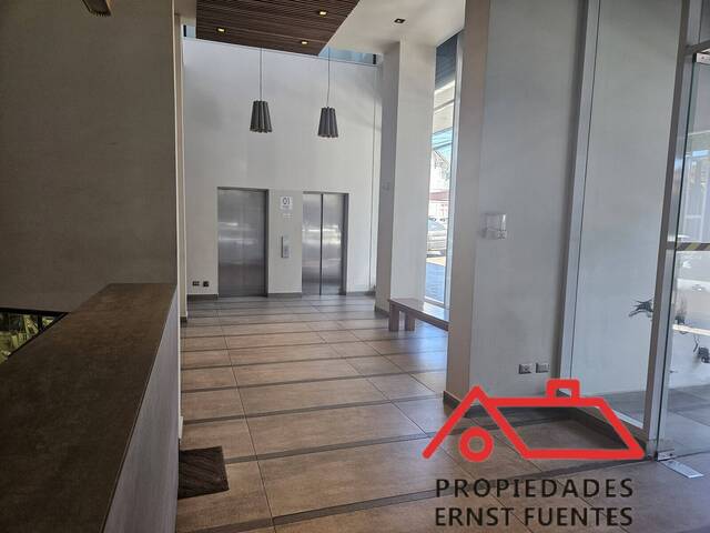 Departamento para Arriendo en Valdivia - 4