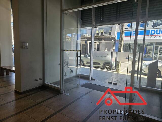 #119 - Departamento para Arriendo en Valdivia - XIV