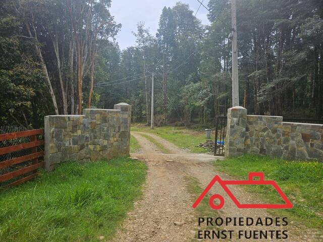 #121 - Parcela para Venta en Valdivia - XIV