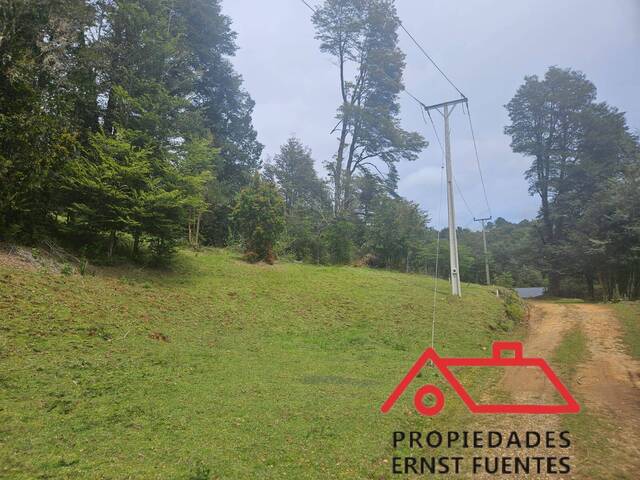Parcela para Venta en Valdivia - 3