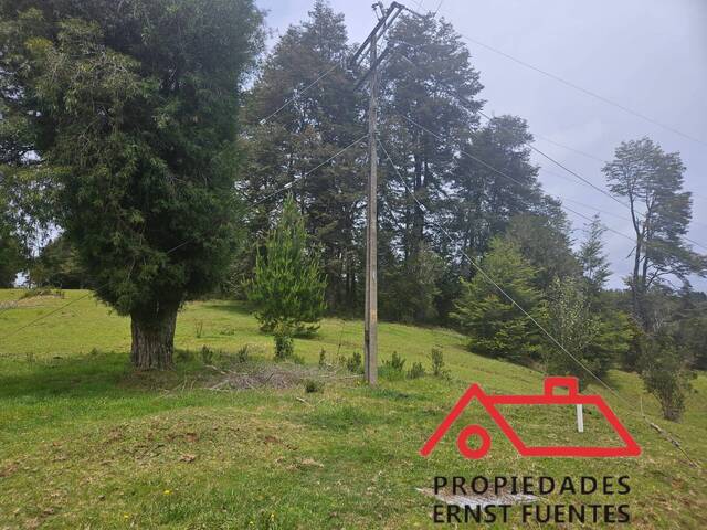 Parcela para Venta en Valdivia - 4