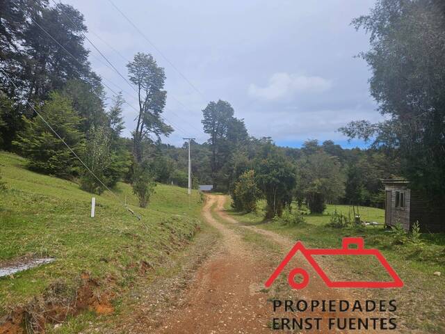 Parcela para Venta en Valdivia - 5