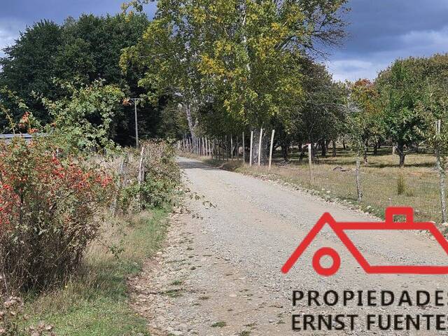 #148 - Parcela para Venta en Paillaco - XIV