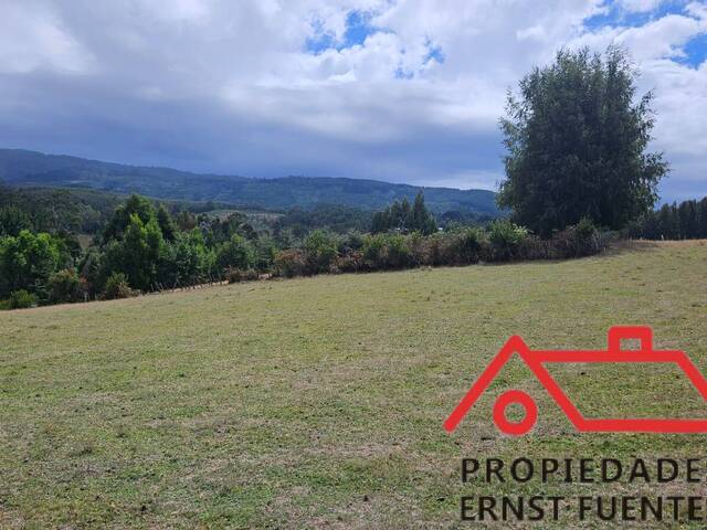 #148 - Parcela para Venta en Paillaco - XIV