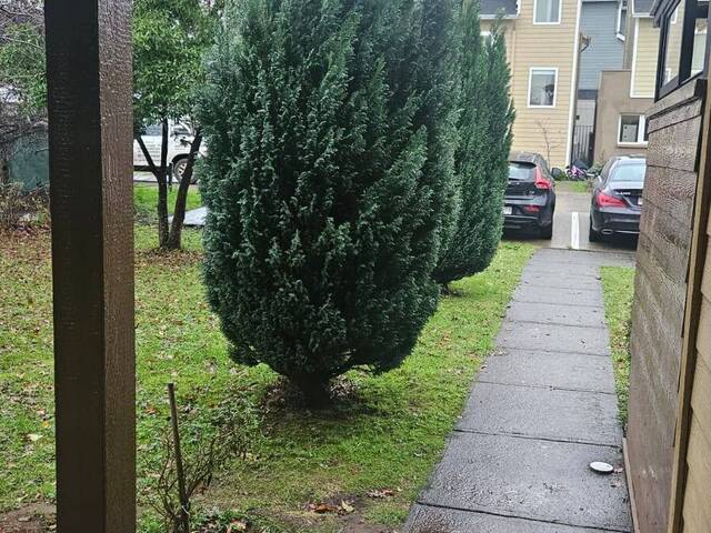 #150 - Casa para Venta en Valdivia - XIV