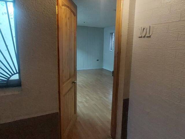 #152 - Departamento para Arriendo en Valdivia - XIV